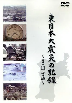 Records of the Great East Japan Earthquake ~3.11 Miyagi~