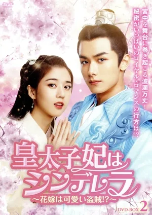 皇太子妃はシンデレラ ~花嫁は可愛い盗賊!?~ DVD-BOX2