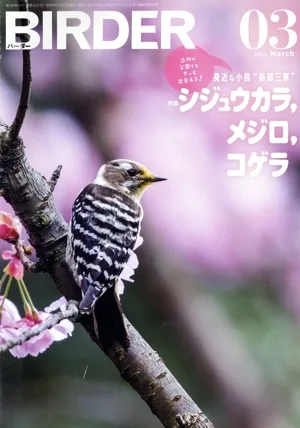 BIRDER(2022年3月号) 月刊誌