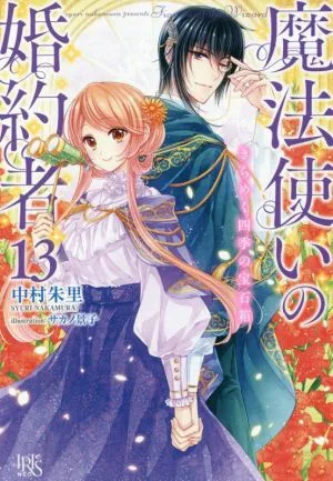 魔法使いの婚約者(13) きらめく四季の宝石箱 アイリスNEO