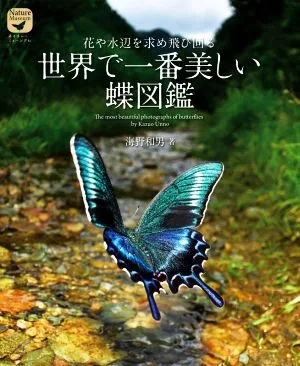 世界で一番美しい蝶図鑑 花や水辺を求め飛び回る ネイチャー・ミュージアム