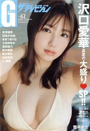 グラビア ザ・テレビジョン(vol.61) カドカワムック