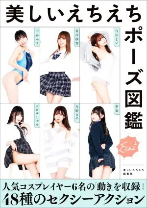 写真集 美しいえちえちポーズ図鑑