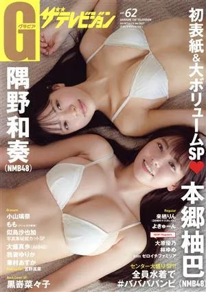 グラビア ザ・テレビジョン(vol.62) カドカワムック