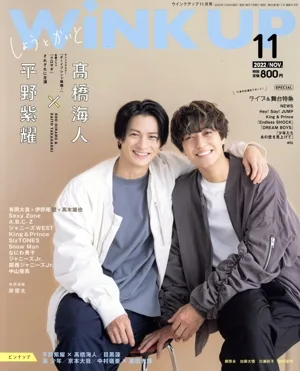 WiNK UP(11 2022/NOV.) 月刊誌