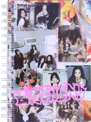 【輸入盤】The ReVe Festival 2022 - Birthday(Photo Book Ver.)