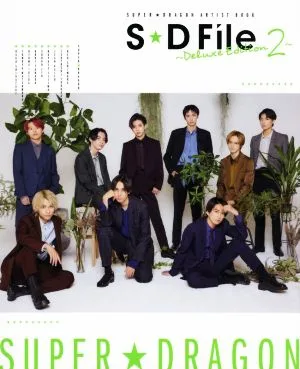 S★D File~Deluxe Edition~(2) SUPER★DRAGON ARTIST BOOK