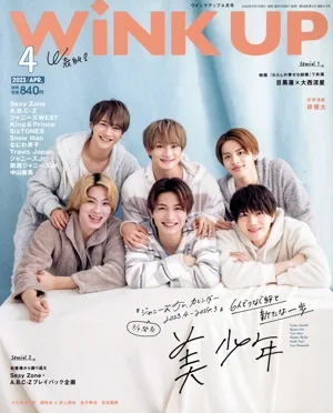 WiNK UP(4 2023/APR.) 月刊誌