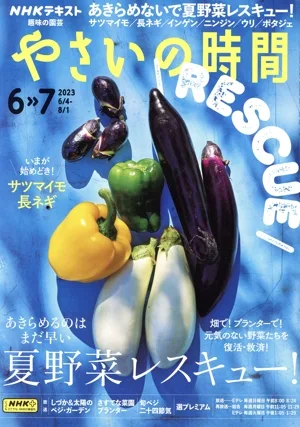 NHK 趣味の園芸 やさいの時間(2023 6・7) 隔月刊誌