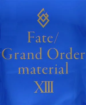 Fate/Grand Order material(ⅩⅢ)