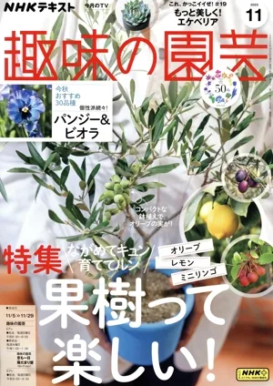 NHKテキスト 趣味の園芸(11 2023) 月刊誌