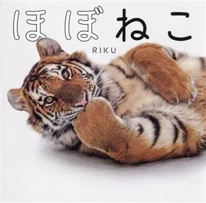 写真集 ほぼねこ
