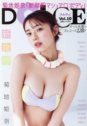 DOLCE(Vol.10) 菊地姫奈 白夜ムック