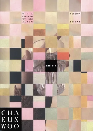 【輸入盤】ENTITY(EQUAL Ver.)