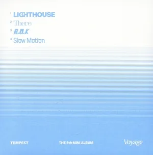 【輸入盤】Voyage