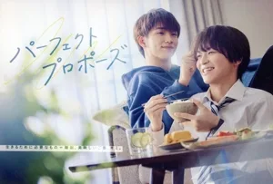 パーフェクトプロポーズ(Blu-ray Disc)