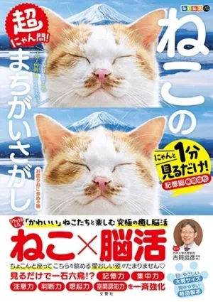 毎日脳活スペシャル 超にゃん問!ねこのまちがいさがし お座りねこ多めの巻 にゃんと1分見るだけ!記憶脳瞬間強化