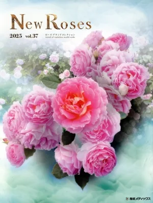 New Roses(vol.37) ローズブランドコレクション