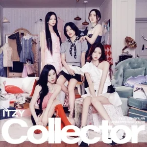 Collector(通常盤)