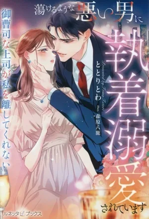 蕩けるような悪い男に執着溺愛されています 御曹司な上司が私を離してくれない ルネッタブックス