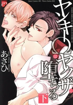 ヤンキーΩはヤクザに堕ちる(下) ジュネットC/ピアスシリーズ