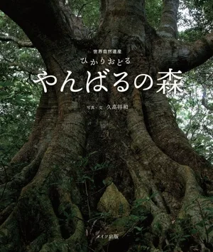写真集 世界自然遺産 ひかりおどる やんばるの森