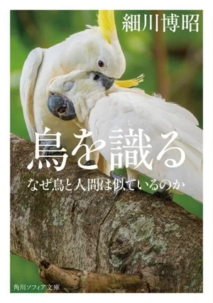 鳥を識る なぜ鳥と人間は似ているのか 角川ソフィア文庫
