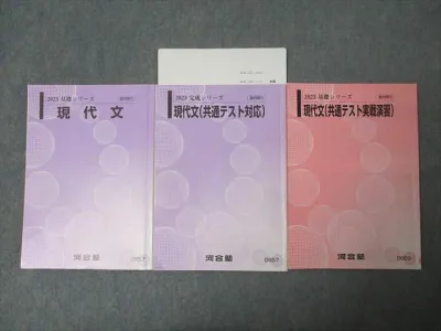河合塾 国語 現代文/共通テスト対応/実戦演習 テキスト通年セット 2023 計3冊 佐々木俊英 037M0C