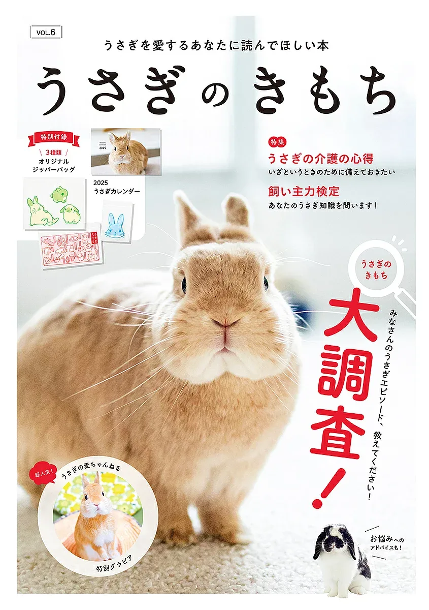【3千円以上送料無料】うさぎのきもち 6