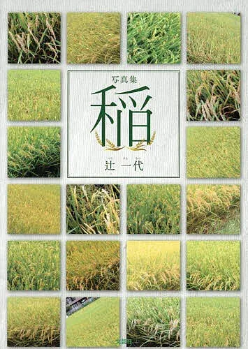 【3千円以上送料無料】稲 写真集/辻一代