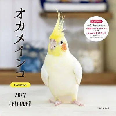 【3千円以上送料無料】’27 カレンダーオカメインコ