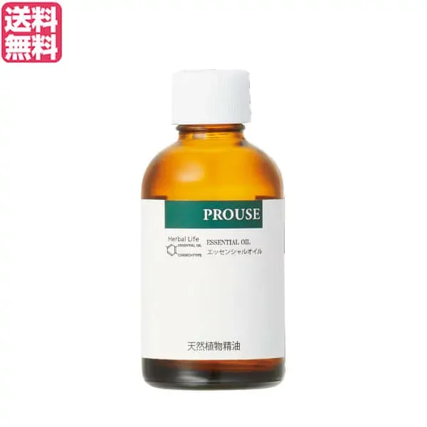 【ポイント最大4倍!】10/18(日)限定!生活の木 サンダルウッド・インド精油 白檀 50ml 精油 オイル アロマオイル 送料無料