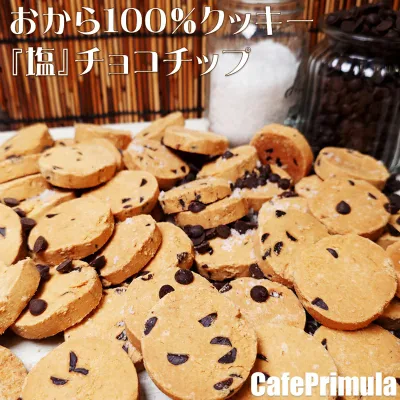 全国どこでも送料無料!厳選人気フレーバー!おから100%クッキー 限定フレーバー 300g人気チョコチップ味!8月5日頃より順次発送します。2026年度『塩』チョコチップ大好評販売中!