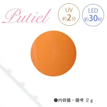 Putiel プティール カラージェル 110 オリエンタルオレンジ 2g 【ネイル パーツ ジェルネイル】