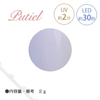 Putiel カラージェル 250 ペールライラック 2g 【ネイル パーツ ジェルネイル パープル】