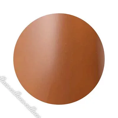 Dna Gel(ディーナジェル) カラージェル MBW04 シエンナ 2.5g【ネイル ジェルネイル カラージェル】