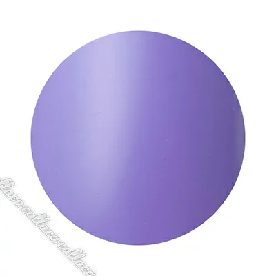 Dna Gel (ディーナジェル) カラージェル 検定 015 パープル 2.5g【ネイル ジェルネイル カラージェル 検定】