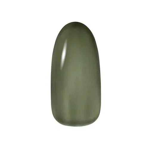 Dna Gel ディーナジェル カラージェル C19 マッチャ 2.5g【ネイル ジェルネイル カラージェル】