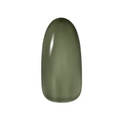 Dna Gel ディーナジェル カラージェル C19 マッチャ 2.5g【ネイル ジェルネイル カラージェル】