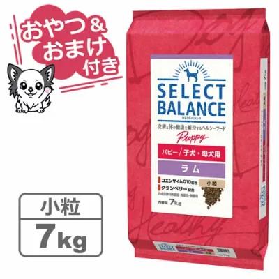 【クーポン配布中】【おやつ&おまけ付き♪】セレクトバランス パピー ラム 小粒 7kg 子犬・母犬用 【Select Balance セレクト・バランス (子犬用)】
