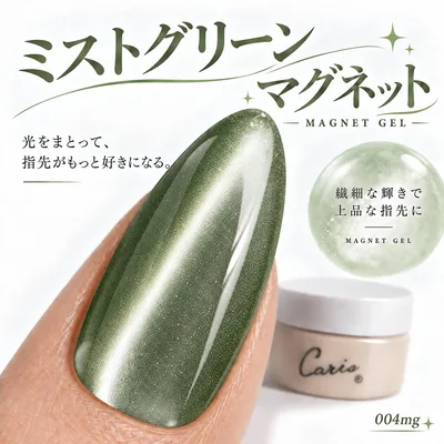 Caris カラージェル 3g 日本製 TPO HEMAフリー 爪に優しい 安心 安全 ジェルネイル アレルギー対応 マグネットネイル セルフネイル 大人可愛い 敏感肌 国産 化粧品成分 高品質 マグネット カリス 004MG