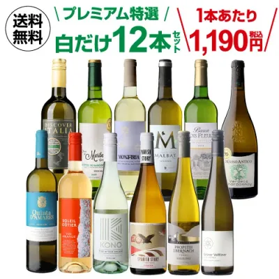 【1本1,190円】 ワイン ワインセット プレミアム特選12本 79弾 白ワイン 白ワインセット 白ワインセット 辛口 ワインセット 白 白ワイン シャルドネ 白 飲み比べ セット お酒 送料無料 お祝い 厳選 ギフト パーティー プレゼント 飲み比べ ワイン 浜運