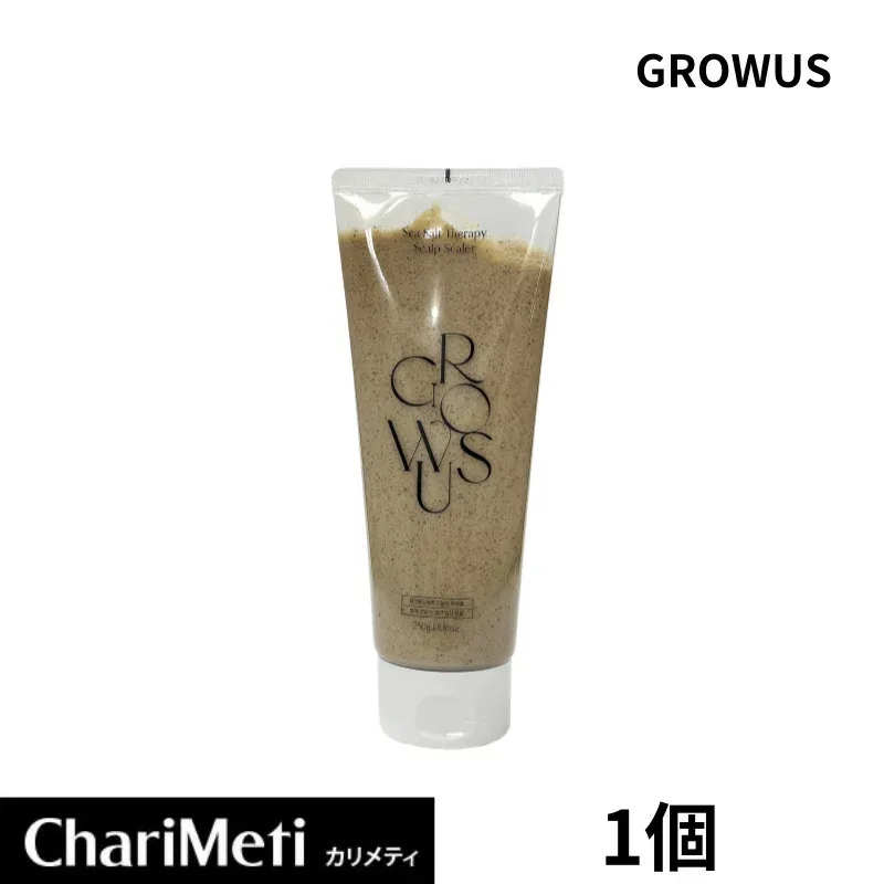 GROWUS シーソルトセラピースカルプスケーラー 250g GROWUS Sea Salt Therapy Scalp Scaler ヘアケア スタイリング スペシャルヘアケア 頭皮ケア 韓国コスメ 送料無料 宅配便