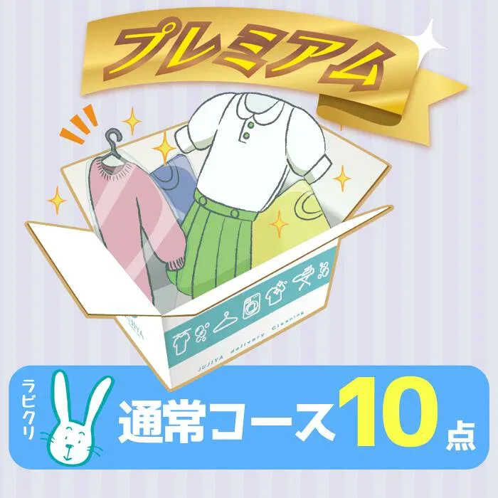クリーニング 宅配 保管なしプレミアムコース 最速便 10点パック 送料無料の宅配クリーニング 衣替え 新生活 シミ抜き 片付け 抗菌 防虫