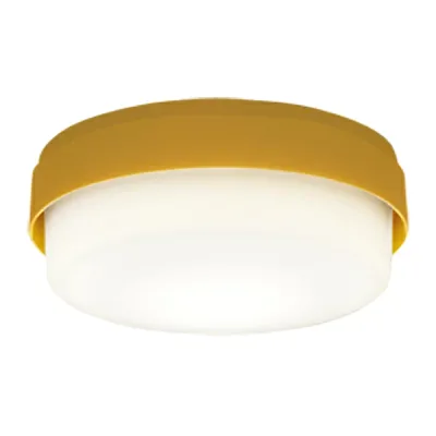 βパナソニック 照明器具【LGB51562LE1】LEDシーリングライト100形電球色 {E}