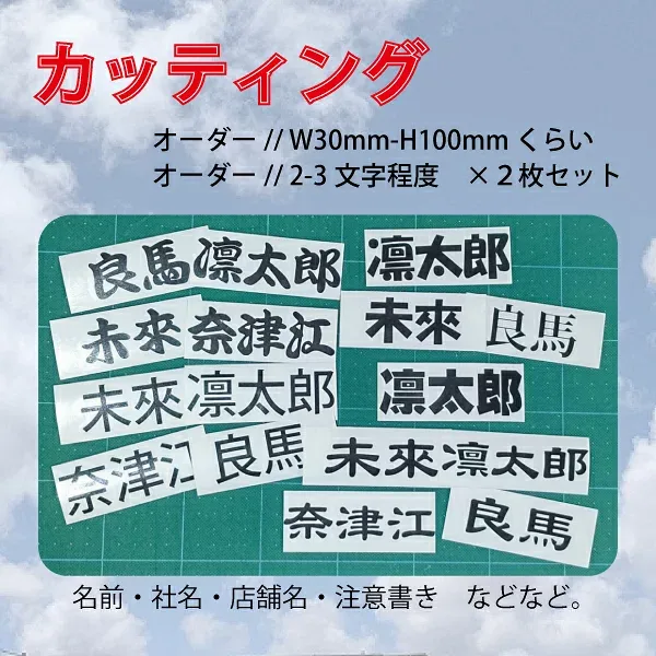 送料無料!ポイント消費☆お試し♪ カッティング 名前 会社名etc. 2枚セット(約H30mm-W100mm) 全10色 2〜3文字程度