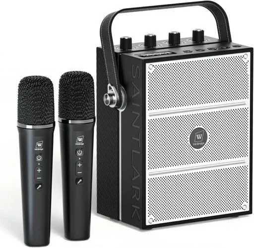 W WINBRIDGE 拡声器 ポータブルスピーカー ハンドマイク 2人同時使用 大音量 ハンズフリー拡声器 PAシステム