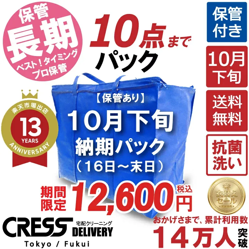 クリーニング 【SALE 今すぐ使える!500円OFFクーポン付き】 \圧倒的なコスパ最強価格!衣替え限定セール!/ 【楽天1位】 【送料無料】 【10月下旬パック・10点】 宅配クリーニング 詰め放題 入れ放題 ダウン 保管クリーニング 500