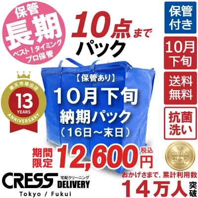 クリーニング 【SALE 今すぐ使える!500円OFFクーポン付き】 \圧倒的なコスパ最強価格!衣替え限定セール!/ 【楽天1位】 【送料無料】 【10月下旬パック・10点】 宅配クリーニング 詰め放題 入れ放題 ダウン 保管クリーニング 500