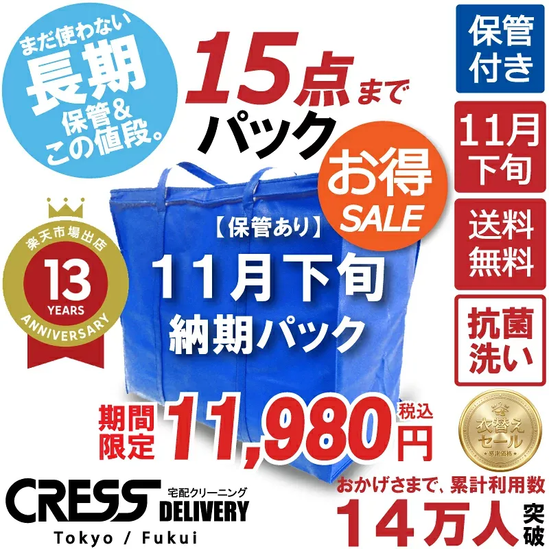 クリーニング 【SALE 今すぐ使える!1,000円OFFクーポン付き】 \圧倒的なコスパ最強価格!衣替え限定セール!/ クリーニング 【楽天1位】 【送料無料】 【11月下旬パック15点】宅配クリーニング 保管 ダウン 宅配クリーニング 詰め放題 保管 1000